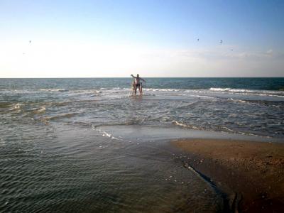 Прикрепленное изображение: 11.jpg